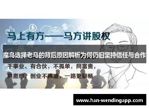 魔鸟选择老马的背后原因解析为何仍旧坚持信任与合作 魔鸟选择老马的背后原因解析为何仍旧坚持信任与合作