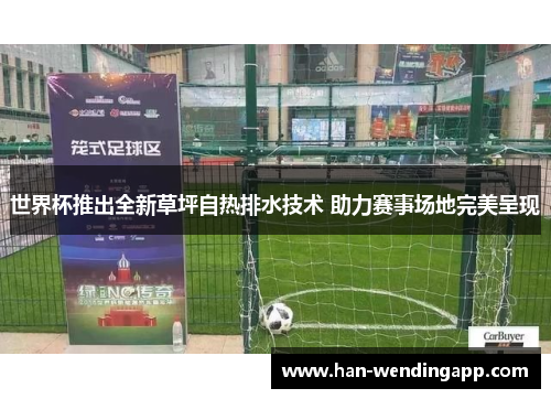 世界杯推出全新草坪自热排水技术 助力赛事场地完美呈现 世界杯推出全新草坪自热排水技术 助力赛事场地完美呈现